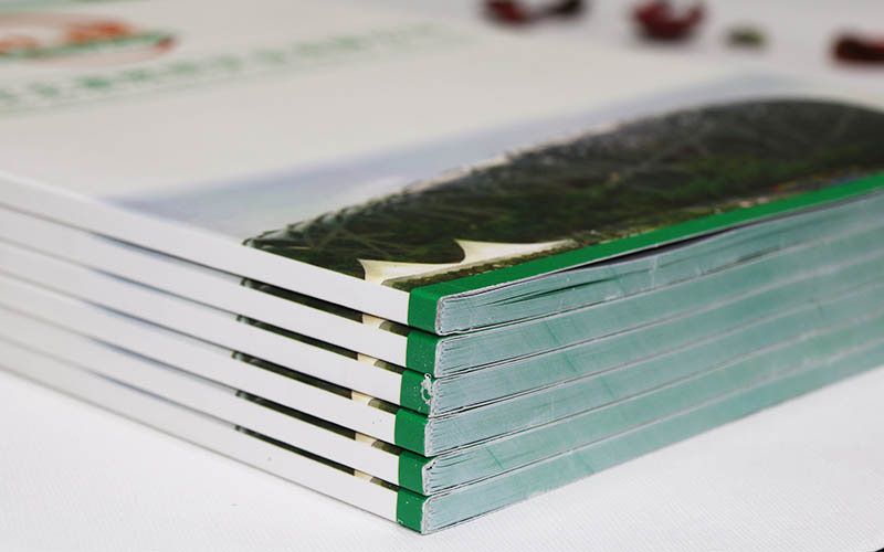 照明畫冊印刷,LED畫冊印刷,燈飾畫冊印刷