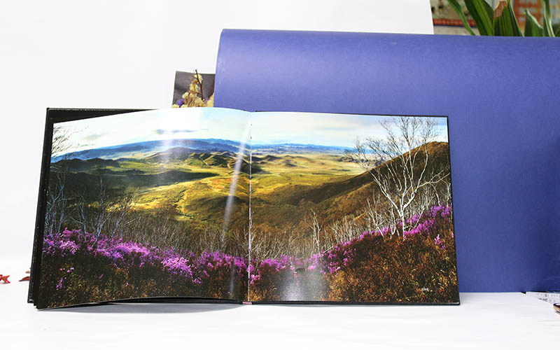 精裝書印刷,精裝書制作,精裝書印刷生産廠家